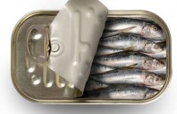 sardines
